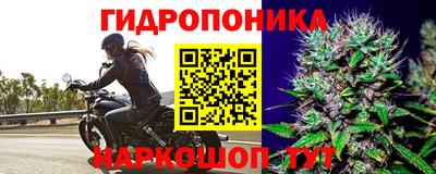 молекула духа Апрелевка