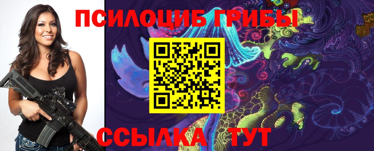 Ступино  Галлюциногенные грибы прущие грибы  Вход с VPN 