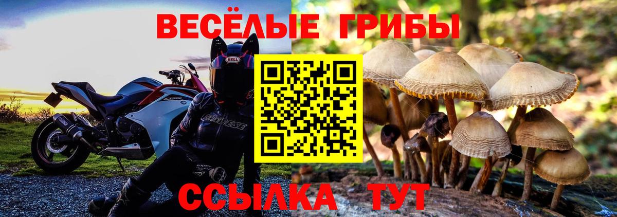 Alpha PVP Ступино