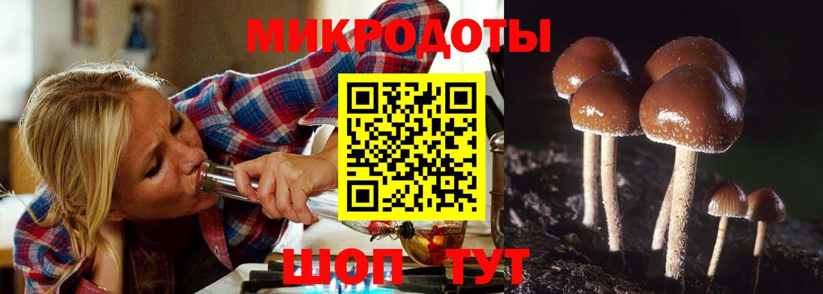 купить   Ступино  Галлюциногенные грибы мухоморы 