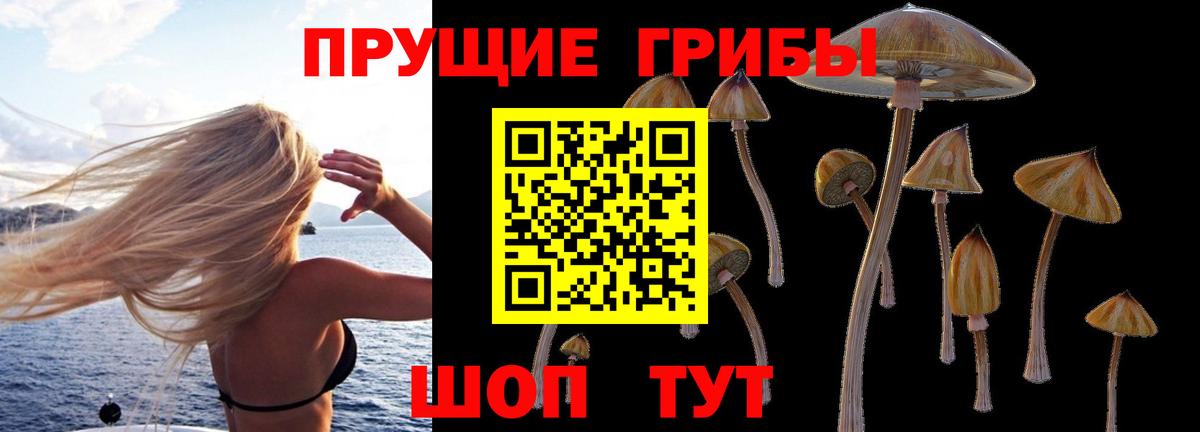 Псилоцибиновые грибы прущие грибы Ступино