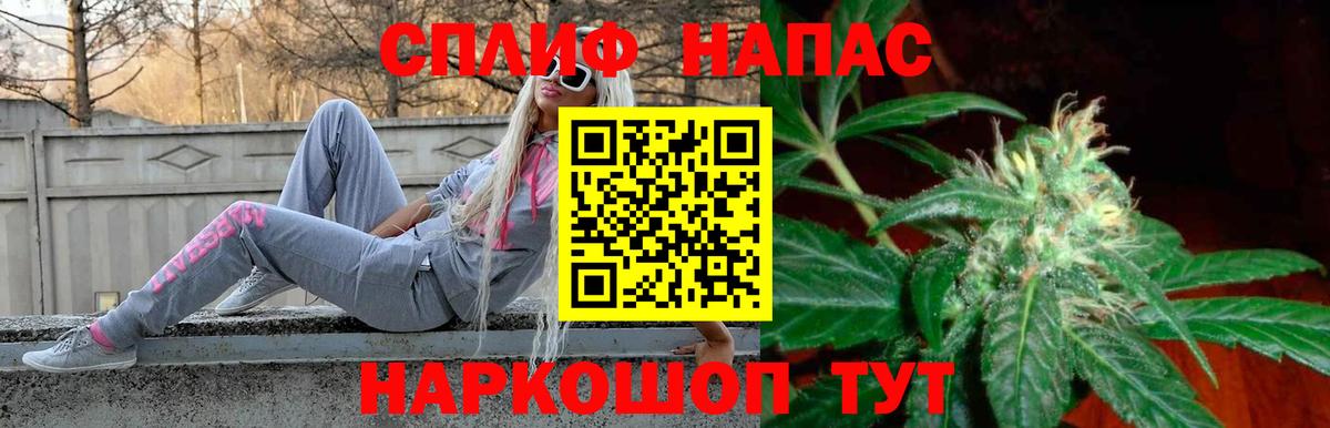 Каннабис планчик Ступино